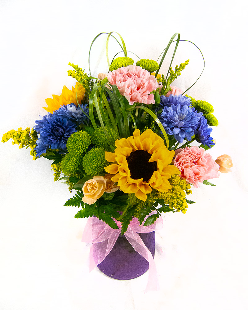 <b>Notice</b>: Undefined index: name in <b>/home/stranges/public_html/shop/vqmod/vqcache/vq2-catalog_view_theme_default_template_product_search.tpl</b> on line <b>386</b>
